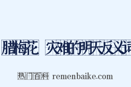 腊梅花·灾难的明天反义词是什么意思的图片